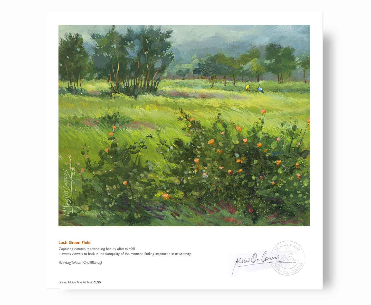After the Rain: Lush Green Field