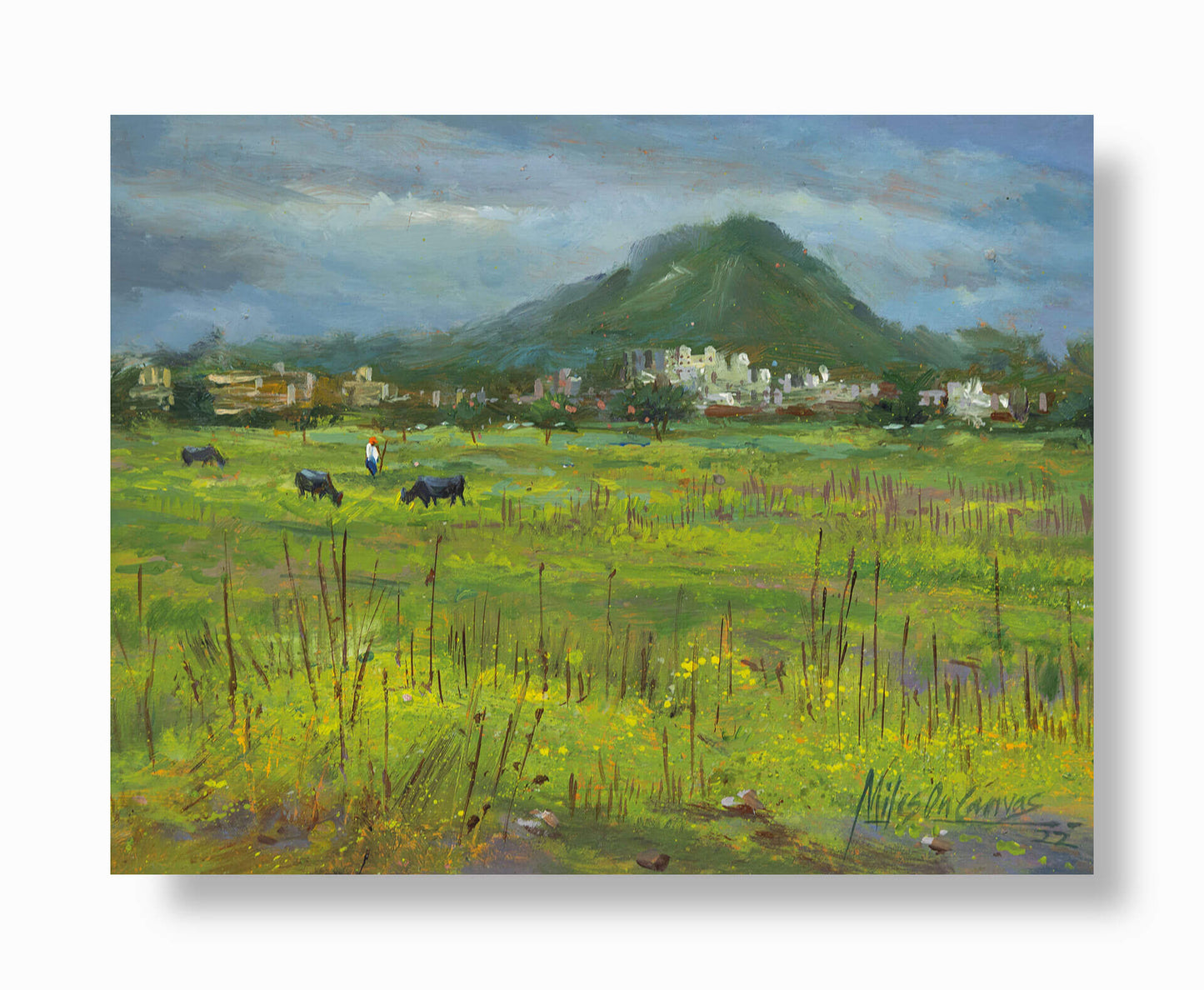 Meadows of Serenity