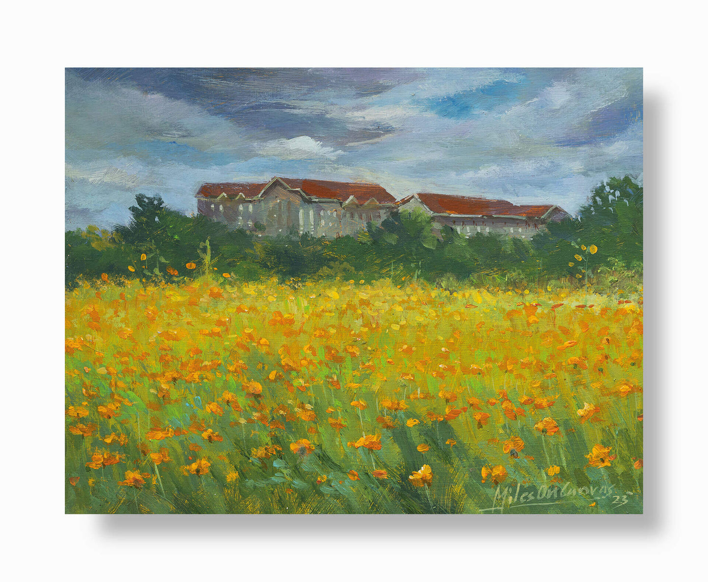 Eternal Blooms: Orange Flowers in Old Beauty