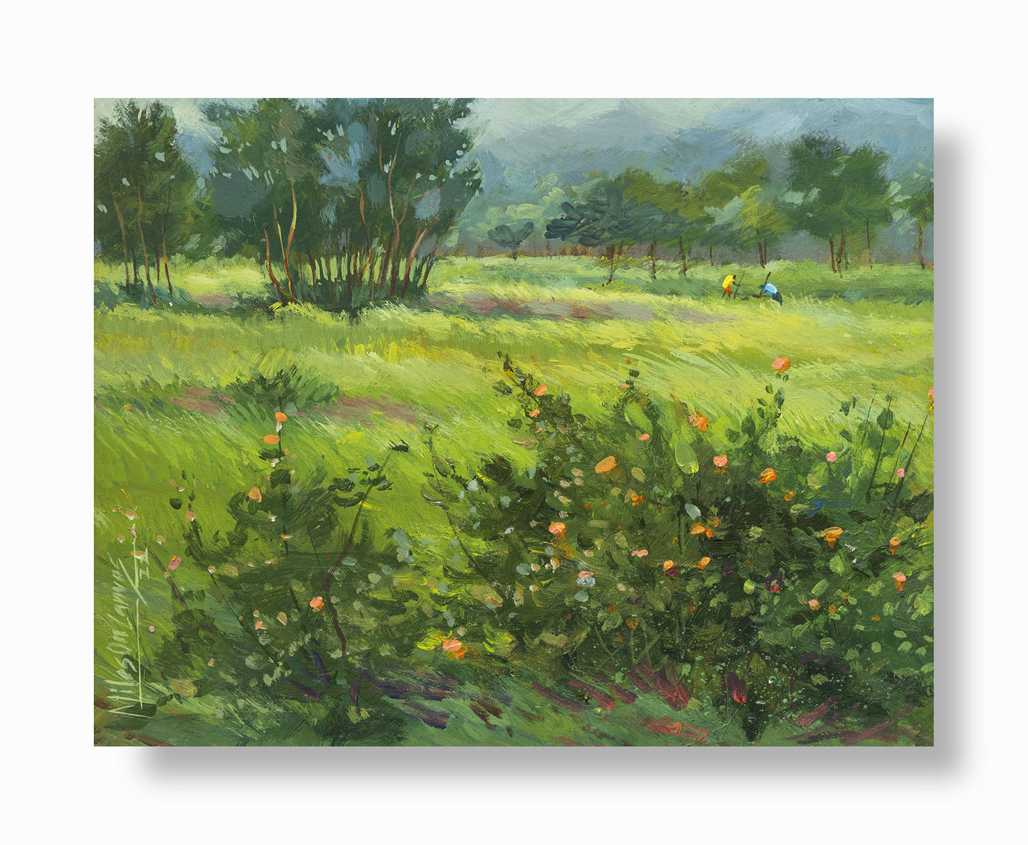 After the Rain: Lush Green Field
