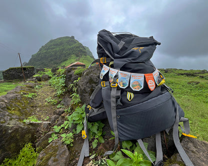 स्वराज्य तोरण